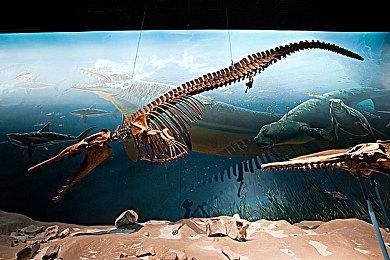 《阿玛拉王国：惩罚 重置版》新DLC即将开发完毕