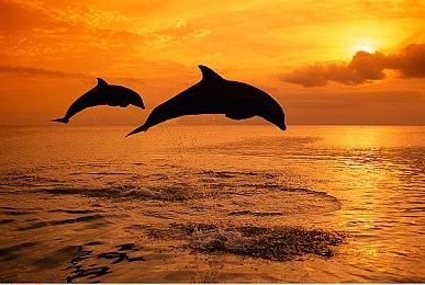 《明末：渊虚之羽》新试玩视频 续作或为开放世界