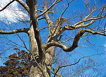 和老板娘必有一战！Steam特别好评roguelite游戏《暖雪》DLC“终业”今日发售！